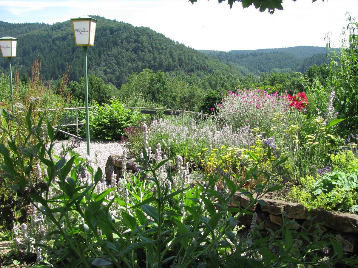 Kraeuterhotel Villa Vontenie Kordel Bagian luar foto